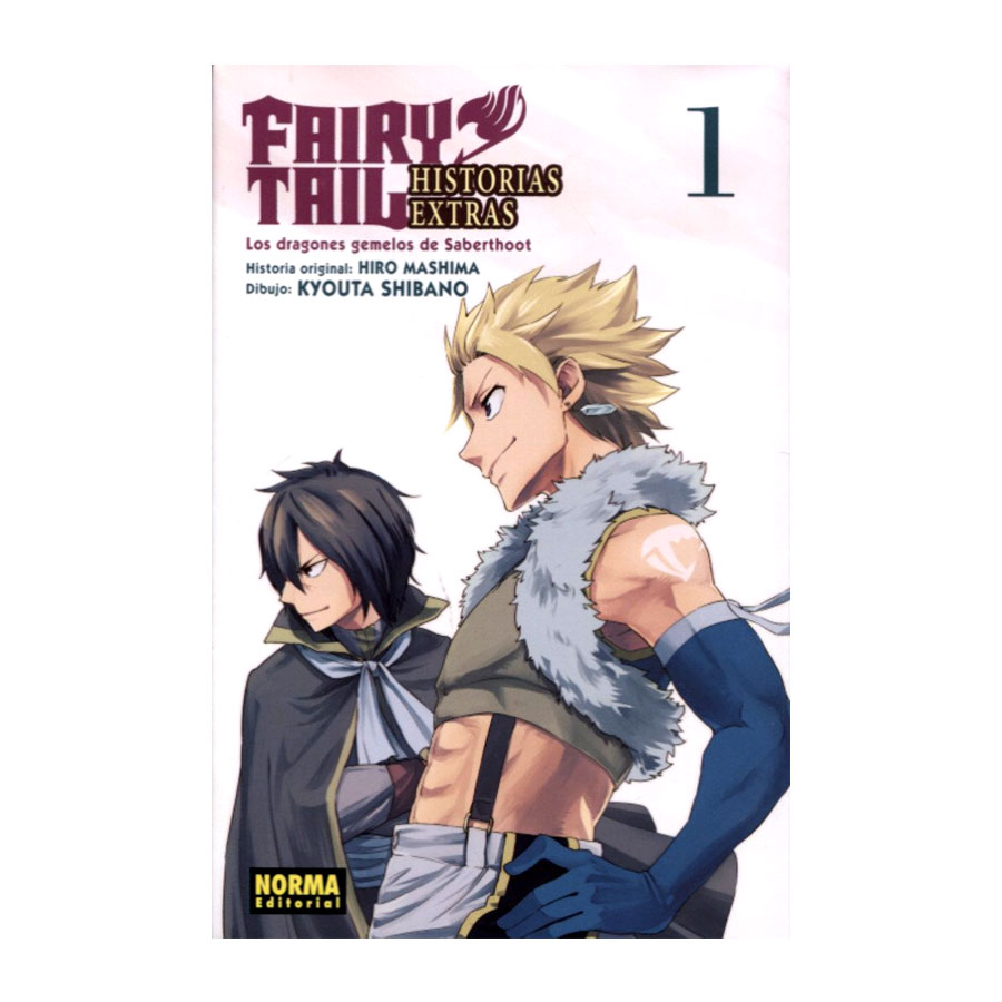 Manga Fairy Tail Historias Extras Norma 01