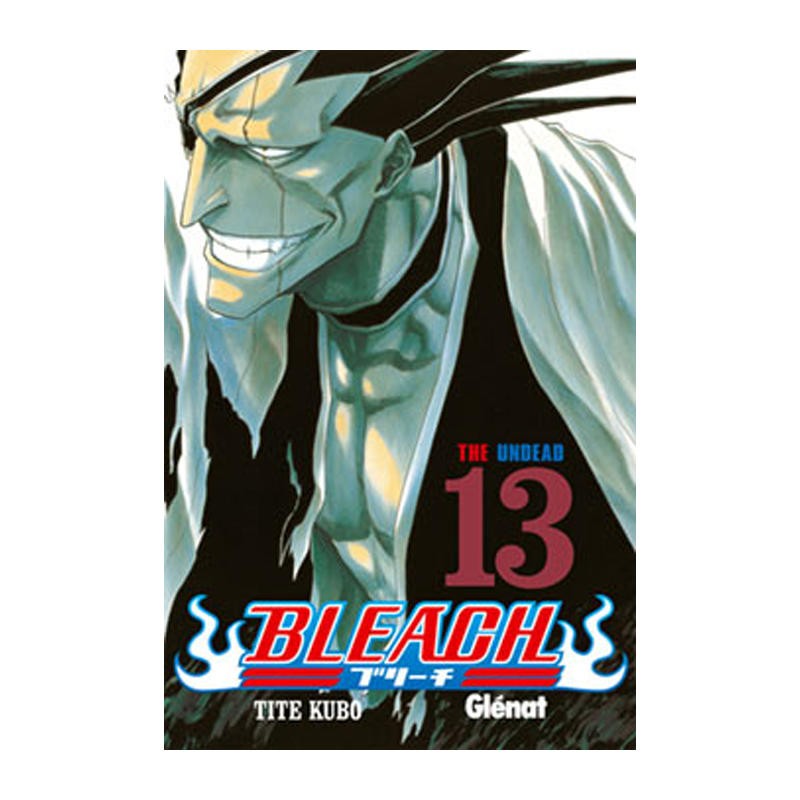 Manga Bleach 13