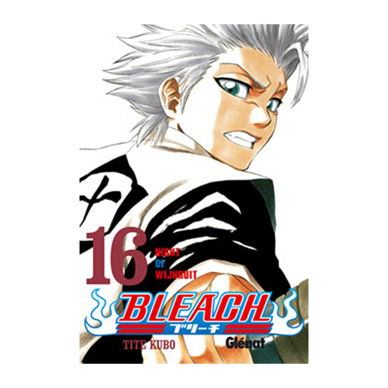 Manga Bleach 16