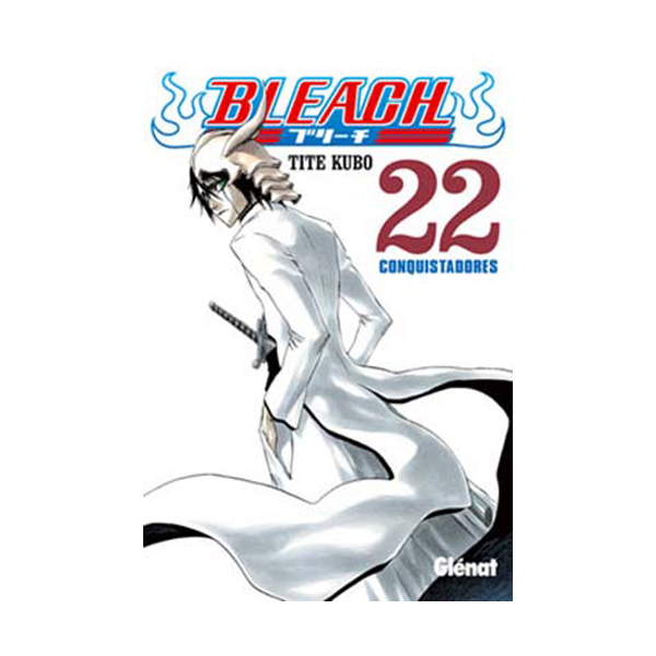 Manga Bleach 22