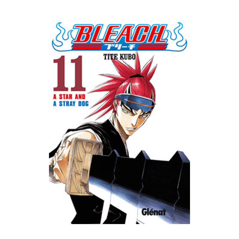 Manga Bleach 11