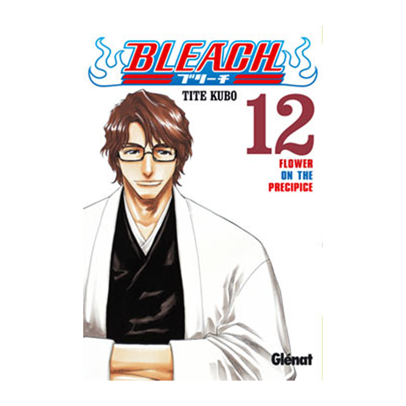 Manga Bleach 12