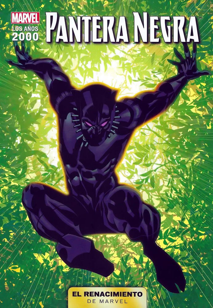 Comic El Renacimiento De Marvel Pantera Negra Panini