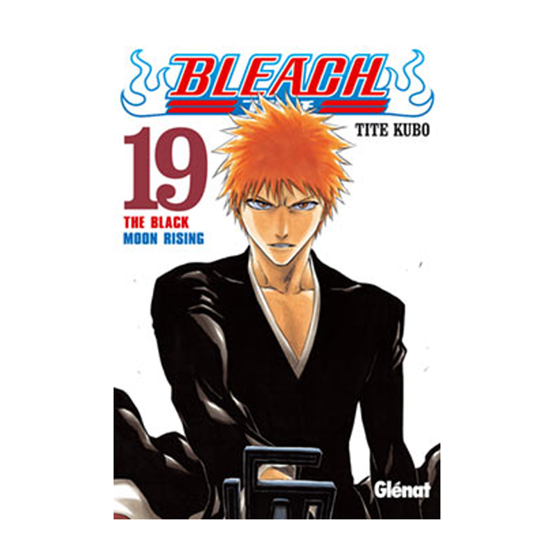 Manga Bleach 19