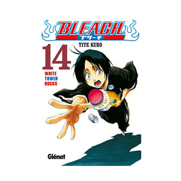 Manga Bleach 14