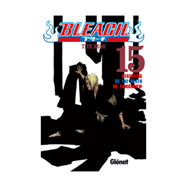 Manga Bleach 15