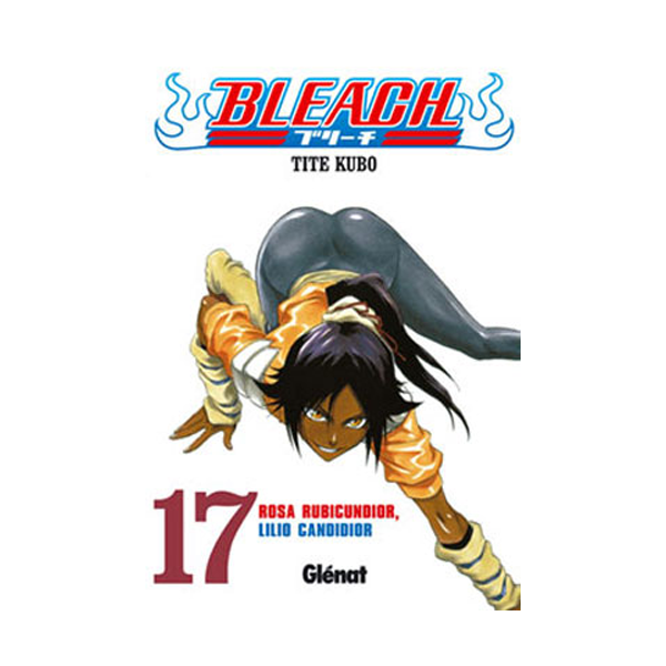 Manga Bleach 17
