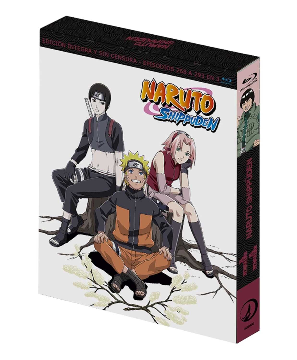 Naruto Shippuden Box 11 BluRay (SP)