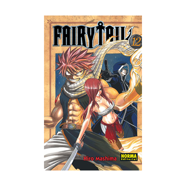 Manga Fairy Tail Norma 12