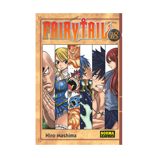 Manga Fairy Tail Norma 18