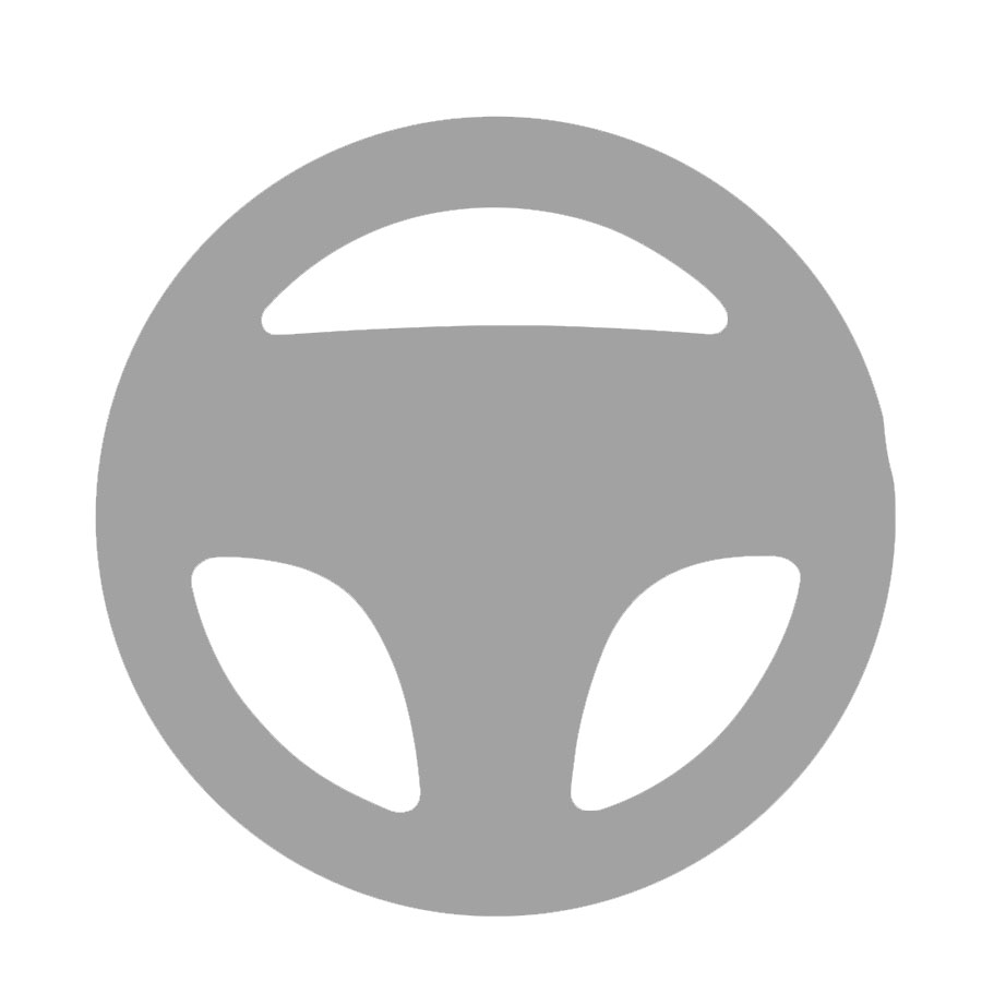Volante Generico Wii U